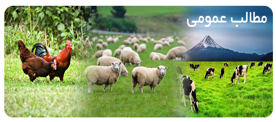 مطالب عمومی